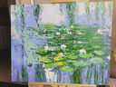 史歷克 數字油畫(huà)diy睡蓮莫奈世界名畫(huà)系列手工填色畫(huà)客廳減壓涂色油畫(huà) FZ-2913 60*75cm 彩布(要自己涂色) 曬單實(shí)拍圖
