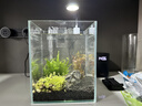 西游水族創(chuàng)意生態(tài)魚缸超白造景懶人微景觀DIY室內(nèi)客廳迷你生態(tài)瓶免換水 長18*寬18*高22-石林款造景全套 曬單實拍圖