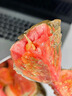 菲農(nóng)廣西芭樂紅心番石榴新鮮水果5斤當(dāng)季軟糯奶油胭脂紅巴樂大果低糖3 9斤 順豐速發(fā) 曬單實(shí)拍圖