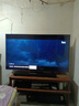 三星（SAMSUNG）QX5D系列 QLED量子點(diǎn) 超薄4K 120Hz HDMI2.1 業(yè)游戲AI電視 3+64G內存 智能語(yǔ)音液晶網(wǎng)絡(luò )平板電視 65英寸 QA65QX5DAJXXZ 開(kāi)機無(wú)廣告 曬單實(shí)拍圖