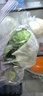 球生菜新鮮漢堡沙拉用西生菜球形圓生菜健身輕食沙拉蔬菜食材配菜 2斤裝 曬單實拍圖