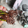 食用玫瑰花苗濃香泡花茶泡澡做精油大花濃香型陽臺庭院 墨紅 5棵 曬單實拍圖