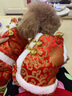 華元寵具（hoopet）小狗狗過(guò)年唐裝喜慶衣服小型犬四腳泰迪比熊吉娃娃寵物秋冬季服裝 雙層加厚四腳唐裝 M:參考體重4-7斤 曬單實(shí)拍圖