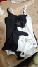 洲克（ZOKE）泳衣女款溫泉連體三角女孩U型露背泳裝黑白貓2026款女士游泳衣女 黑白可愛(ài)貓124501136-2 XL 曬單實(shí)拍圖
