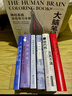 大腦筆記 神經(jīng)系統涂色學(xué)習手冊 重現解剖學(xué)教授經(jīng)典課堂 腦神經(jīng)科學(xué)版秘密花園 后浪正版 曬單實(shí)拍圖
