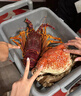 澳洲進(jìn)口新鮮皇帝蟹10斤 巨型擬濱蟹霸王蟹 鮮活螃蟹蟹類(lèi)生鮮水產(chǎn) 皇帝蟹 5斤 【鮮活到家】 曬單實(shí)拍圖