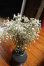 愛(ài)滿(mǎn)（AIMAN） 云南天然滿(mǎn)天星干花束家居裝飾客廳餐桌插花小清新真花擺件擺飾 白色滿(mǎn)天星 含報紙+絲帶  干花包 曬單實(shí)拍圖