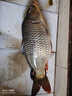 釣魚(yú)王 魚(yú)線(xiàn)漁具天絲禪強勁拉力原絲專(zhuān)業(yè)競技釣線(xiàn)尼龍線(xiàn) 2.5#子系 曬單實(shí)拍圖
