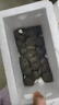 外塘黃色甲魚苗小甲魚王八苗鱉生態(tài)養(yǎng)殖食用 整整50只公母對半 曬單實拍圖