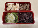 ASVEL阿司倍鷺雙層塑料飯盒微波爐加熱 成人學生帶午餐盒壽司盒便當盒 月兔紅色2層830ml兩層830ml 曬單實拍圖