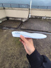 適配耐克nike熊貓dunk空軍一號aj1籃球鞋板鞋男女內(nèi)增高鞋墊軟 NK1.5CM增高【兩雙裝】 42.5 曬單實拍圖