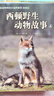 西頓野生動(dòng)物故事集全6冊(cè) 走進(jìn)神奇的的大自然系列 西頓動(dòng)物記 9-12歲兒童科普繪本小說 三四五六年級(jí)小學(xué)生課外閱讀書籍 曬單實(shí)拍圖