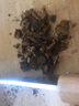 溥畔藥材切片機(jī)家用小型切片神器商用手動鹿茸靈芝西洋參切片機(jī)閘刀 小號切片機(jī) 曬單實拍圖