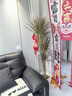 愛優(yōu)尚千年木大型盆栽馬尾鐵好養(yǎng)辦公室客廳陽臺(tái)室內(nèi)七彩鐵源頭直發(fā) 曬單實(shí)拍圖