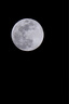 騰龍 Tamron 70-200 150-600全畫幅遠攝中長焦二手單反風景鏡頭佳能尼康 騰龍 100-400/4.5-6.3 VC USD 95新【佳能EF口】 曬單實拍圖