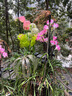 院見燈太陽能花燈庭院燈戶外防水景觀裝飾氛圍別墅花園草坪地插燈 6支裝-太陽能花燈-彩光 曬單實(shí)拍圖