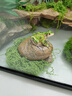 BARBAROUS GROWTH玻璃爬缸蜥蜴蛇甲蟲烏龜陸龜爬寵爬蟲角蛙飼養(yǎng)箱盒專用缸爬寵飼養(yǎng) BT-10(50*30*25)【磁吸不跑蛇】 曬單實拍圖