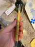 莎娜日本莎娜sana excel三合一眉筆眉粉立體持久自然防水不脫色0.4g PD07摩卡棕 曬單實(shí)拍圖