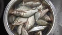 川澤夜光漂咬鉤變色鯽魚漂高靈敏納米醒目漂大物重力感電子漂夜釣浮漂 YW-02（1號）吃鉛：2.8g大鯽鯉魚 咬鉤變色（單支裝+電池） 曬單實拍圖