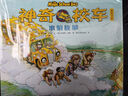 神奇校車(chē) 圖畫(huà)書(shū)版（套裝全12冊） 曬單實(shí)拍圖