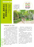 自然風(fēng)小庭院設(shè)計——植物選擇與搭配 曬單實拍圖