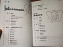 骨盆功能修復全書(shū) 骨盆的功能解剖 運動(dòng)學(xué) 評估與治療技術(shù)（人郵體育出品） 曬單實(shí)拍圖