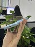 功崇【贈(zèng)鋼化膜】適用iPhone16e手機(jī)殼蘋(píng)果se4手機(jī)殼iPhone SE4磨砂磁吸保護(hù)套全包防摔輕薄散熱男女 【冰霧藍(lán)】Magsafe磁吸|親膚手感|獨(dú)立鏡圈 iPhone16E新品*現(xiàn)貨速發(fā) 曬單實(shí)拍圖