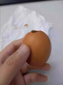 崠鮮新鮮活珠子13天雞胚蛋五香香辣味熟食毛雞蛋真空包裝開(kāi)袋即食生鮮 五香活珠子 10枚 曬單實(shí)拍圖