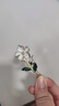 Mays Will蝴蝶發(fā)夾劉海側邊夾ins蝴蝶結碎發(fā)卡子氣質(zhì)網(wǎng)紅學(xué)生超仙發(fā)飾  組合蝴蝶+花朵+音符 曬單實(shí)拍圖