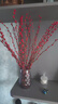 花楚園藝 銀柳真花年宵花卉銀柳干花彩色柳枝水培花卉富貴竹室內裝 財源廣進(jìn) 養眼 美觀(guān) 飾花 60cm（紅色）30支 不含盆 曬單實(shí)拍圖