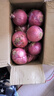 紫皮洋蔥圓蔥2025新鮮蔬菜云南農(nóng)家大蔥紅蔥頭水果四季蔥 9斤大果(單果250g+） 曬單實拍圖
