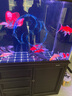 森森（SUNSUN）新品森森美式帝雅超白玻璃底過濾龍魚缸大型客廳魚缸免換水 (入門級)美式-帝雅 1.5米42.2寬 靠墻款 曬單實拍圖
