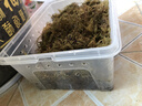 寵小帥天然干苔蘚過冬眠透氣保濕烏龜飼養(yǎng)箱造景盆栽營養(yǎng)土鋪面爬寵墊材 精選干苔蘚100g【少量試用】 曬單實拍圖