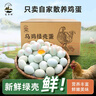 憶鄉嶺散養烏雞蛋綠殼蛋  農家山林喂養初生鮮土雞蛋單枚40±5g 30枚 曬單實(shí)拍圖
