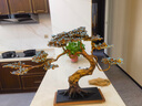 縱歡招財(cái)迎客松 新中式玄關(guān)客廳裝飾品銅擺件工藝品喬遷開業(yè)禮品 蒼松翠柏《典藏版》 曬單實(shí)拍圖