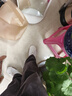 馬登男鞋 小眾設計感復古貝殼頭板鞋潮流百搭情侶小白鞋低幫休閑鞋子 白棕 41 曬單實(shí)拍圖