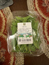 密農人家荷蘭豆 農家種植豌豆莢 脆豆角 新鮮蔬菜 清脆爽口青豆角250g 曬單實(shí)拍圖