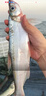 太湖海【特大白魚】太湖三白翹嘴白條大白刁 鮮活三去淡水魚類江蘇特產(chǎn) 冷凍-偏咸） 500g*2條 曬單實拍圖