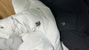 迪桑特（DESCENTE） WOMEN’S SKI 女士 防潑水長(zhǎng)款鵝絨羽絨服【新色上市】 BK-黑色 XL (175/92A) 曬單實(shí)拍圖