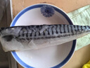 ANSON挪威青花魚(yú)進(jìn)口深海魚(yú)類(lèi)特大青花魚(yú)鯖魚(yú)鮐鲅魚(yú)生鮮海鮮水產(chǎn) 挪威青花魚(yú)2kg【8-12片】 曬單實(shí)拍圖