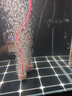 伊罕EHEIM德國進(jìn)口氣泵魚(yú)缸氧氣泵水族箱增氧泵觀(guān)賞魚(yú)充氧泵打氧泵 氣泵1000型 氣量可調 8.5W雙孔 曬單實(shí)拍圖