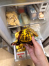 五芳齋 粽子 新鮮粽短保大肉雙蛋黃五花肉梅干菜豆沙蜜棗鎖鮮粽早餐端午 4肉粽+4蛋黃400克 曬單實(shí)拍圖