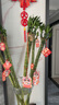 聽(tīng)雪樓龍竹文昌富貴竹植物觀音竹開(kāi)運(yùn)直竹室內(nèi)客廳水養(yǎng)水培綠植花卉 多頭龍竹-80厘米左右-6棵 不含瓶 曬單實(shí)拍圖