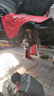 菲羅多（ferodo）剎車盤前盤適用現(xiàn)代伊蘭特/悅動/美佳FC 1.6L/1.8L DDF1270C 曬單實拍圖