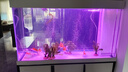 YEE水族增氧氣泵氣泡石氣條魚缸氣泡條氣泡石造景氣簾裝飾納米氣盤石 100厘米氣條+12瓦氣泵+管件 曬單實(shí)拍圖