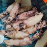 鮮隨漁動(dòng)海兔子新鮮筆管魚(yú)鮮活冷凍海鮮鮮凍籽烏整箱小魷魚(yú)八爪魚(yú)水產(chǎn) 曬單實(shí)拍圖
