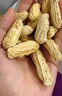 滇品客農(nóng)科院帶殼七彩花生原味熟花生云南黑花生新貨曬干炒堅(jiān)果休閑零食 七彩花生(帶殼熟) 289g*1罐 嘗鮮-1罐 曬單實(shí)拍圖