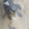 棠仲承南方大口鯰魚苗活體15厘米埃及塘鲺塘角魚清理雜魚淡水冷水養(yǎng)殖食用魚可越冬耐寒特大二須胡子鯰魚苗 【可過冬】大口鯰 12-14公分10條送1條 曬單實(shí)拍圖