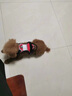 DSRAWMYT 狗狗牽引繩 胸背帶 中大型犬遛狗背心式狗繩金毛拉布拉多狗鏈子 曬單實(shí)拍圖