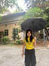 雨萊特漸變防曬傘女全自動(dòng)晴雨兩用折疊傘防紫外線UPF50+遮陽(yáng)傘便攜抗風(fēng) 奶油黃-12骨雙龍骨自動(dòng)黑膠 曬單實(shí)拍圖